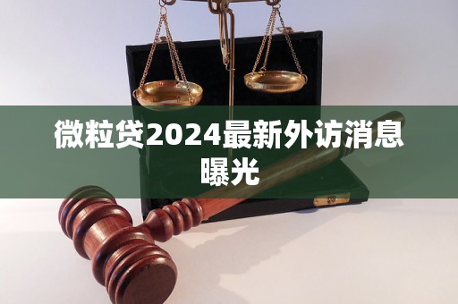 微粒贷2024最新外访消息曝光