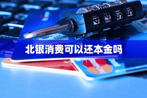 北银消费可以还本金吗