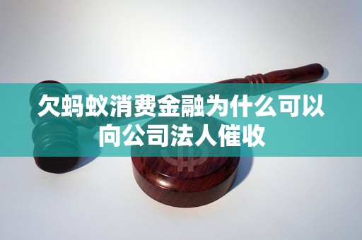欠蚂蚁消费金融为什么可以向公司法人催收