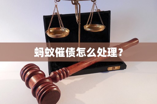 蚂蚁催债怎么处理？