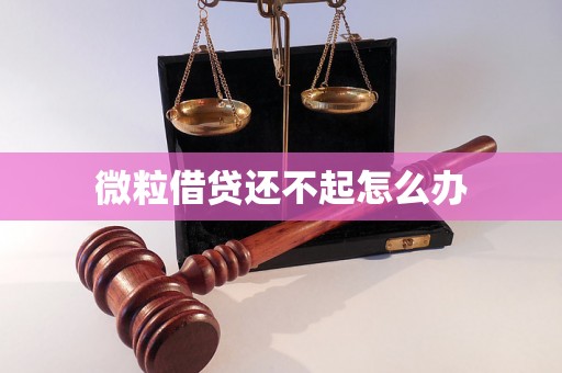 微粒借贷还不起怎么办