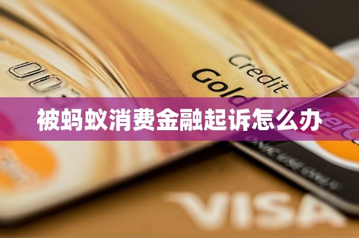 被蚂蚁消费金融起诉怎么办 被蚂蚁消费金融起诉怎么办