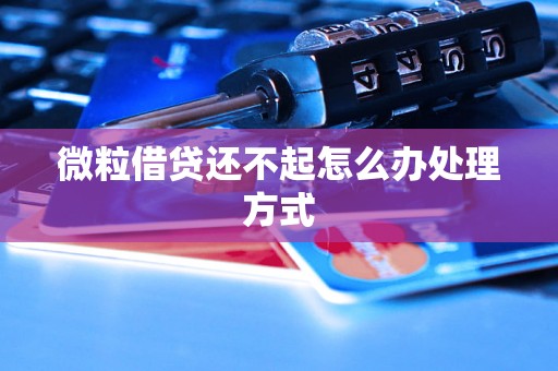 微粒借贷还不起怎么办处理方式