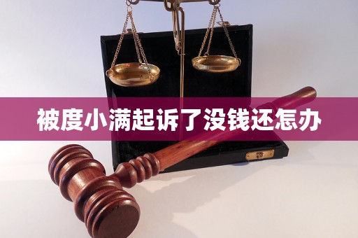 被度小满起诉了没钱还怎办