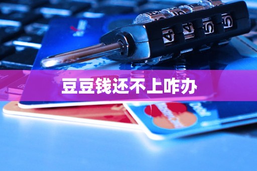 豆豆钱还不上咋办