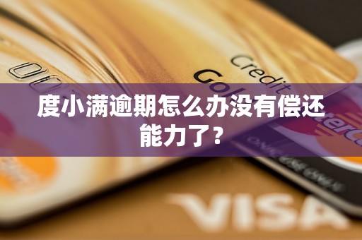 度小满逾期怎么办没有偿还能力了？