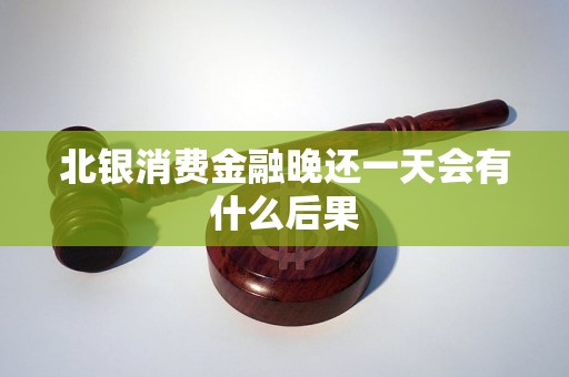 北银消费金融晚还一天会有什么后果