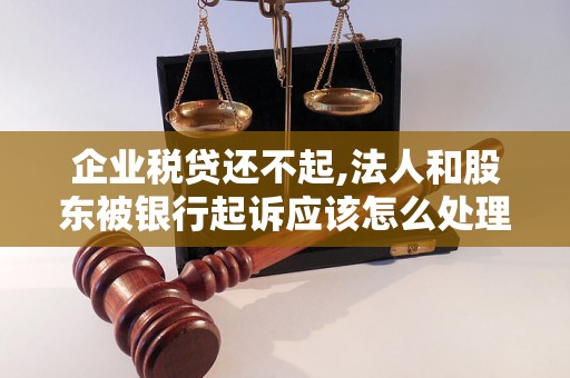 企业税贷还不起,法人和股东被银行起诉应该怎么处理？