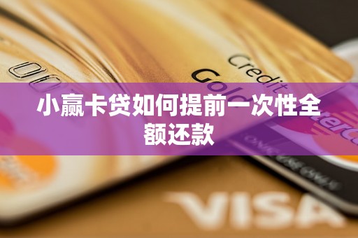 小赢卡贷如何提前一次性全额还款