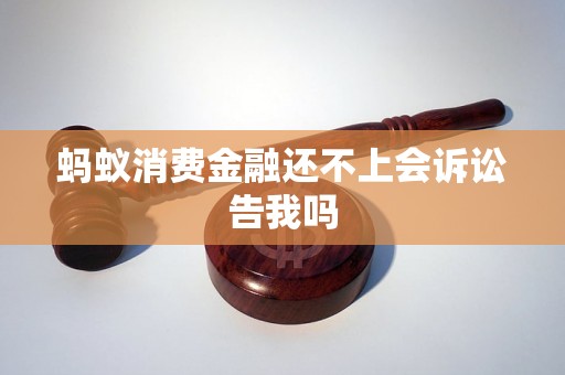 蚂蚁消费金融还不上会诉讼告我吗
