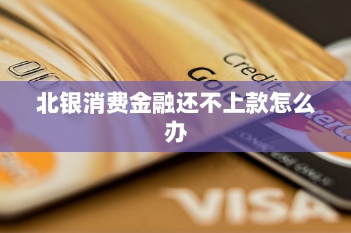 北银消费金融还不上款怎么办 北银消费金融还不上款怎么办