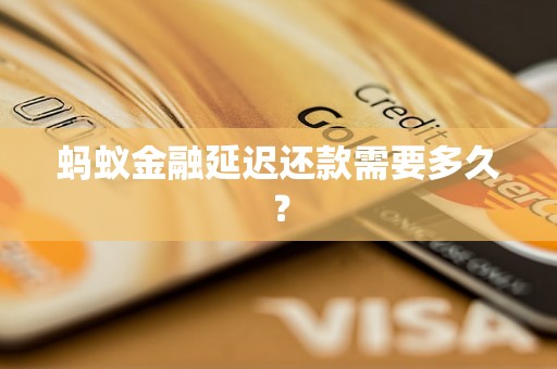 蚂蚁金融延迟还款需要多久？