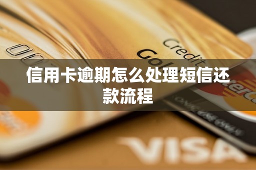 信用卡逾期怎么处理短信还款流程