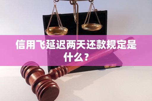 信用飞延迟两天还款规定是什么？
