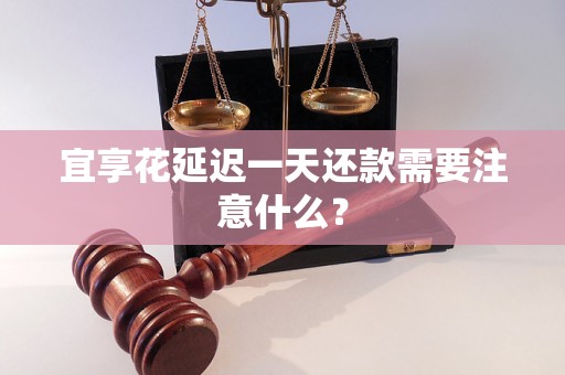 宜享花延迟一天还款需要注意什么？