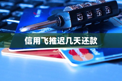 信用飞推迟几天还款