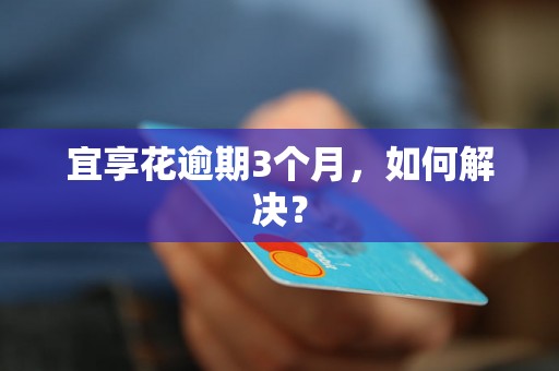 宜享花逾期3个月，如何解决？