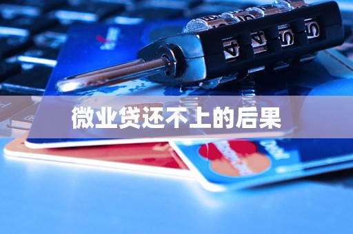 微业贷还不上的后果