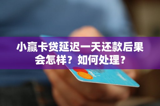小赢卡贷延迟一天还款后果会怎样？如何处理？