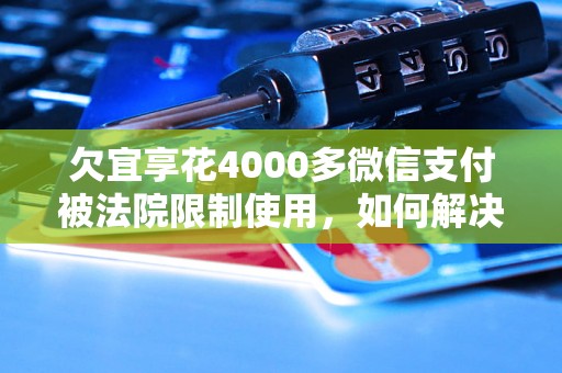欠宜享花4000多微信支付被法院限制使用,如何解决? 欠宜享花4000多微信支付被法院限制使用,如何解决?