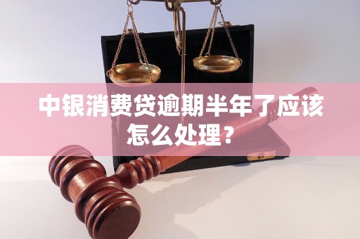 中银消费贷逾期半年了应该怎么处理? 中银消费贷逾期半年了应该怎么处理?