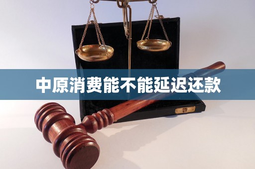 中原消费能不能延迟还款