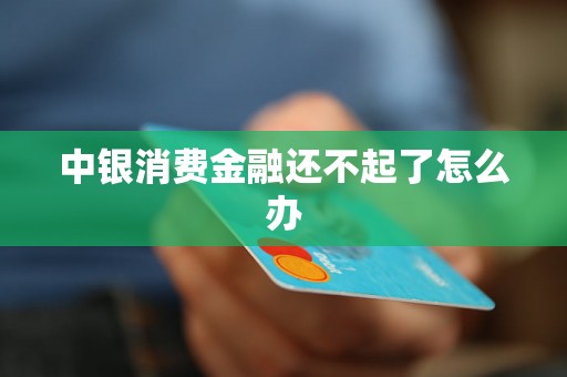 中银消费金融还不起了怎么办