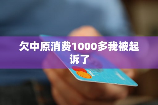 欠中原消费1000多我被起诉了