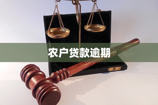 农户贷款逾期