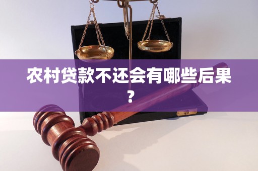 农村贷款不还会有哪些后果？