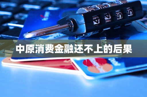中原消费金融还不上的后果