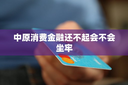 中原消费金融还不起会不会坐牢