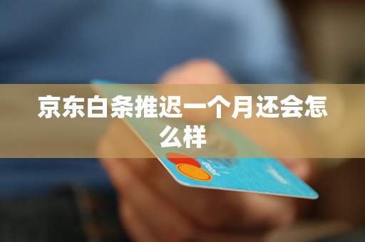 京东白条推迟一个月还会怎么样