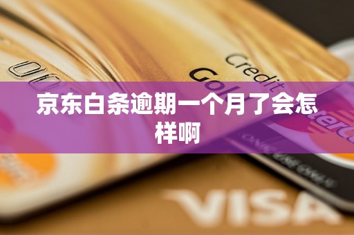京东白条逾期一个月了会怎样啊