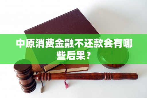 中原消费金融不还款会有哪些后果？