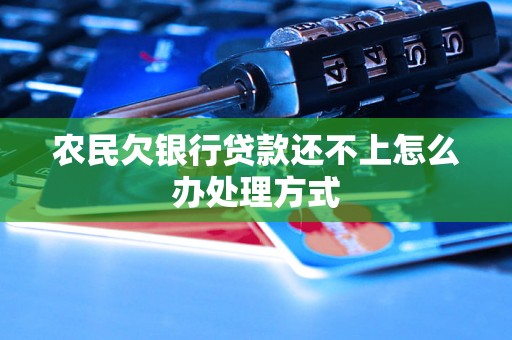 农民欠银行贷款还不上怎么办处理方式