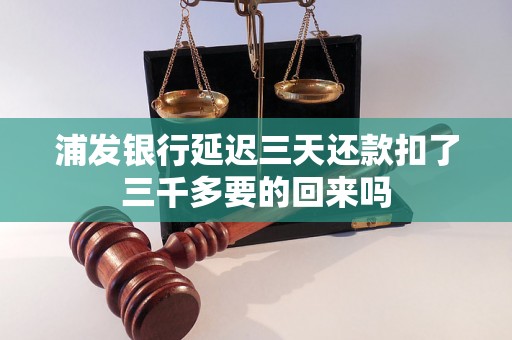 浦发银行延迟三天还款扣了三千多要的回来吗