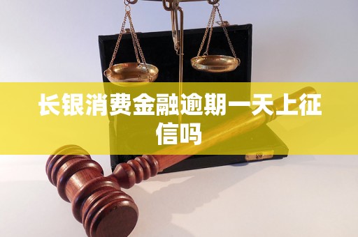 长银消费金融逾期一天上征信吗