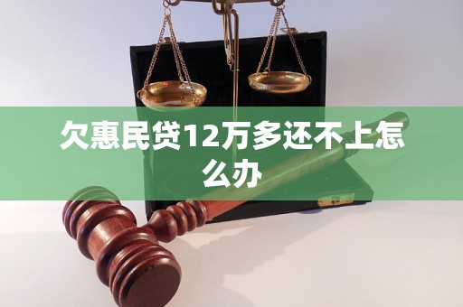 欠惠民贷12万多还不上怎么办