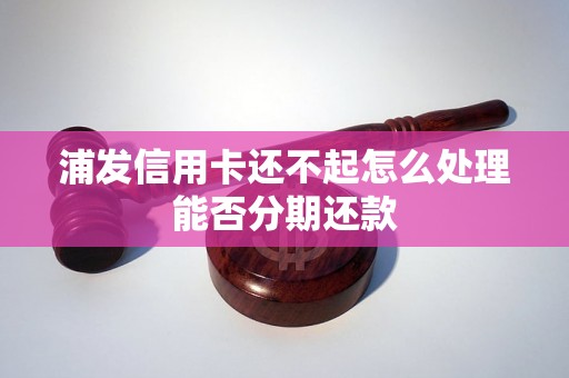 浦发信用卡还不起怎么处理能否分期还款