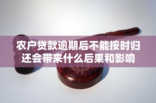 农户贷款逾期后不能按时归还会带来什么后果和影响 农户贷款逾期后不能按时归还会带来什么后果和影响