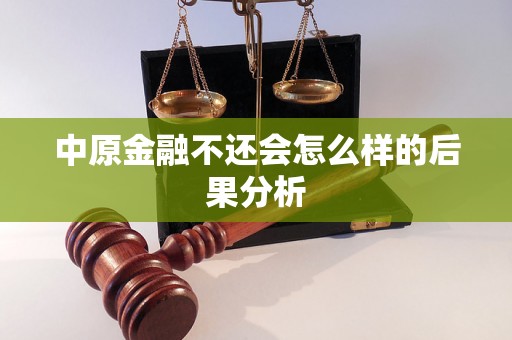 中原金融不还会怎么样的后果分析 中原金融不还会怎么样的后果分析
