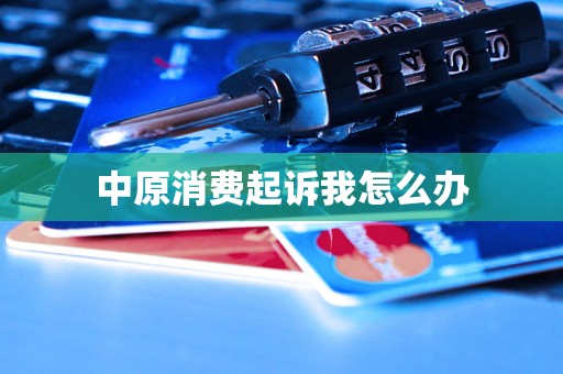 中原消费起诉我怎么办