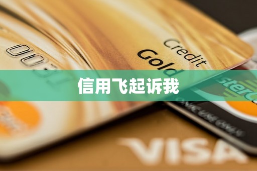 信用飞起诉我