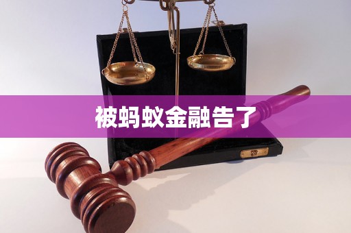 被蚂蚁金融告了
