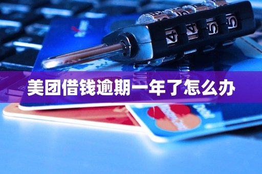 美团借钱逾期一年了怎么办 美团借钱逾期一年了怎么办
