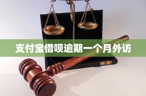 支付宝借呗逾期一个月外访 支付宝借呗逾期一个月外访