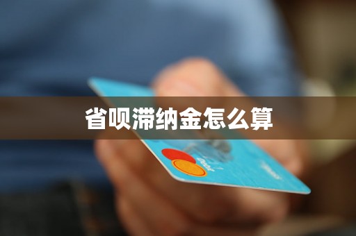 省呗滞纳金怎么算
