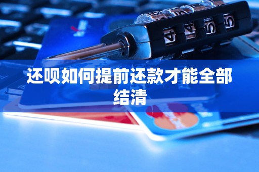 还呗如何提前还款才能全部结清