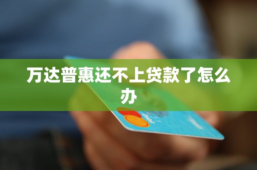 万达普惠还不上贷款了怎么办 万达普惠还不上贷款了怎么办
